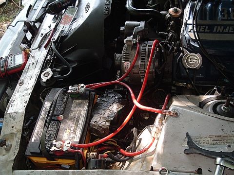 1994 Ford Thunderbird - another view of teh big tree. it's almost time to turn on the juice and see what shakes loose, lol, :D