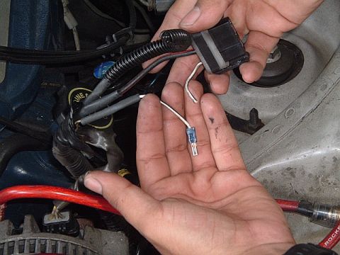 1994 Ford Thunderbird - here is the mod you have to do to the early alt harness to plug in the newer alt. you just cut the white with black stripe wire and install…