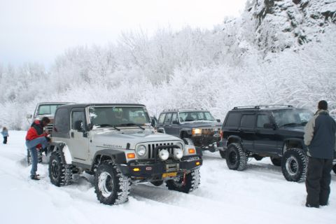 2003 Jeep TJ - Several Jeep Wranglers and other SUVs parked in a snowy landscape with frosted trees.