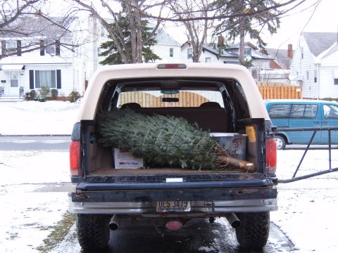 1993 Ford Bronco - This 1993 Ford Bronco is ready for the holidays, with a large Christmas tree secured in its cargo bed.