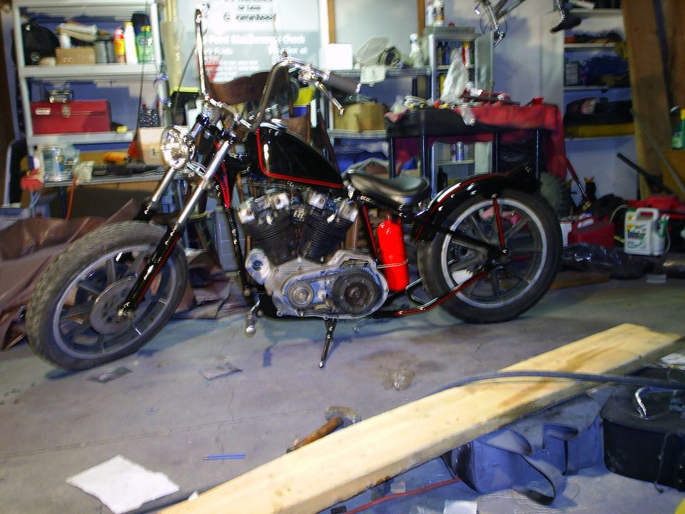 1979 Harley-Davidson Sportster