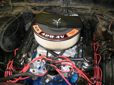 1979 Ford Bronco photo