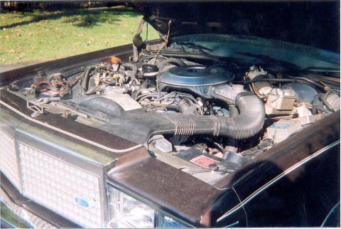 1982 Ford Crown Victoria LTD - The engine bay of a 1982 Ford Crown Victoria LTD is visible with the hood raised.