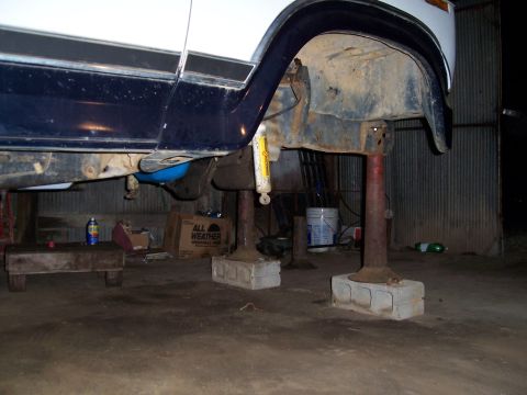 1983 Ford Bronco - Vehicle's undercarriage is raised on jack stands for maintenance, revealing suspension components and frame.