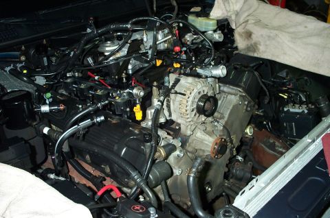 1998 Ford Crown Victoria - Close-up view of a V8 engine, showing various mechanical parts and electrical connections within the engine bay.