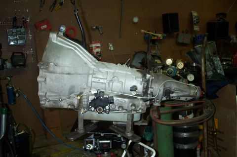 1998 Ford Crown Victoria - Note the fittings and line for the forced tailshaft lube modification.