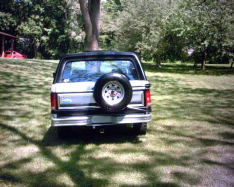 1982 Ford Bronco photo
