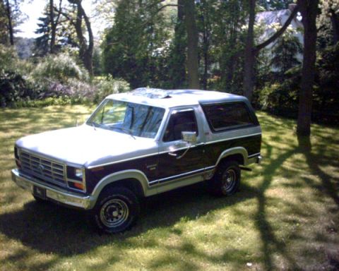 1982 Ford Bronco photo