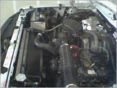 1995 Ford Bronco - Engine bay components including the radiator, battery, and air intake system are shown.