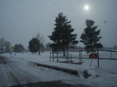 1972 Ford Ranchero - A winter scene unfolds with snow falling and trees silhouetted against a cloudy sky.