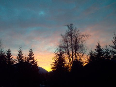 2001 Ford Taurus - A vibrant sunset paints the sky with hues of orange, pink, and blue, silhouetting a dense forest and a distant mountain.