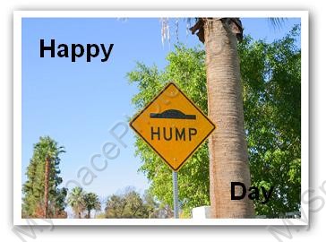 1996 Ford Probe - A yellow diamond-shaped sign warns of a speed bump on a sunny day with palm trees.