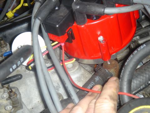 1986 Ford Mustang - Close-up view of an engine's red distributor cap with spark plug wires connected.
