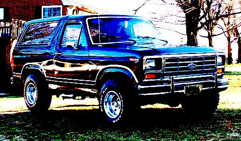 1983 Ford Bronco “Bronco?”
