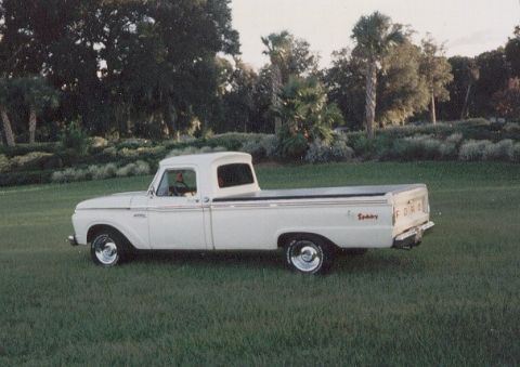 1966 Ford F-100 photo