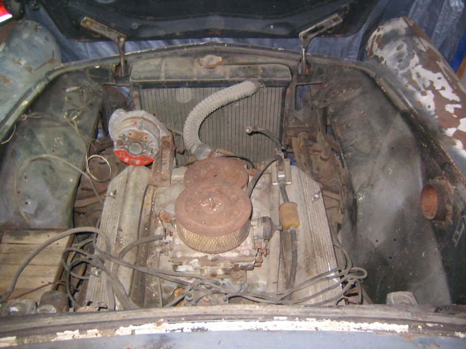 Engine bay of a 1956 Ford Thunderbird with a V8 engine, radiator, and distributor visible
