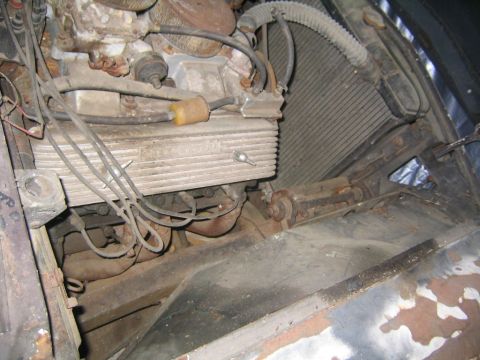 1956 Ford Thunderbird - Engine bay view of a 1956 Ford Thunderbird, showing the V8 engine and radiator assembly.