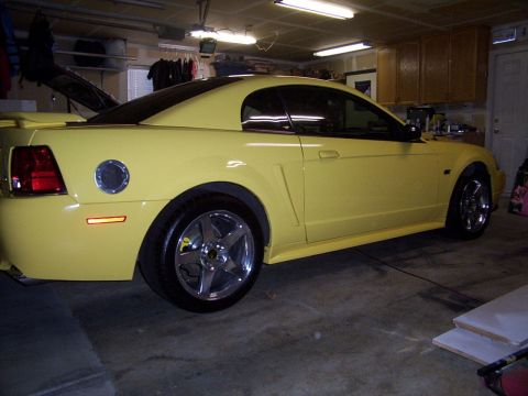 2002 Ford Mustang - Another angle of the Bullitt Side Panels