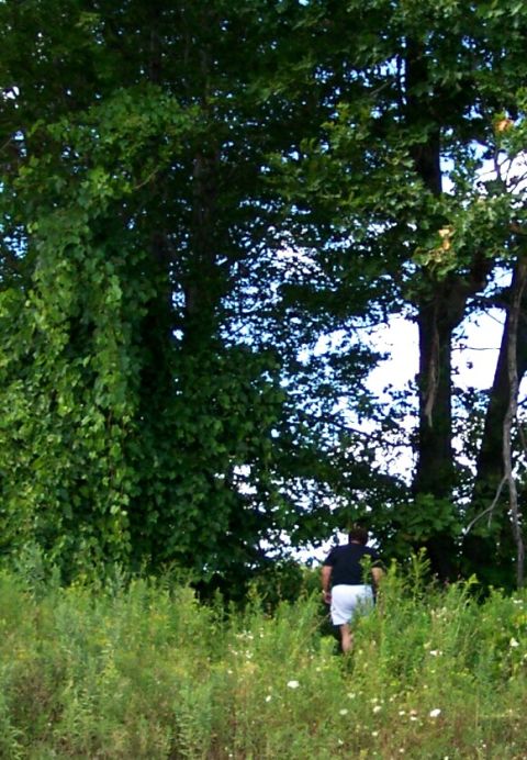 1979 Ford F-150 - A person walks through a field of tall grass and wildflowers under a canopy of trees.