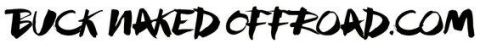 1995 Ford Bronco - This image displays a text graphic with the words BUCKNakedOFFROAD.com in a stylized font.