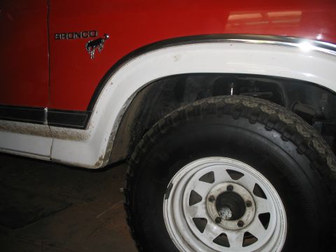 1981 Ford Bronco - Close-up of a red and white Ford Bronco's side fender and wheel, with the 'BRONCO' badge clearly visible.