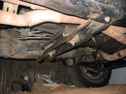 1981 Ford Bronco - The underside of a vehicle reveals suspension and exhaust systems, with a tire visible at the rear.