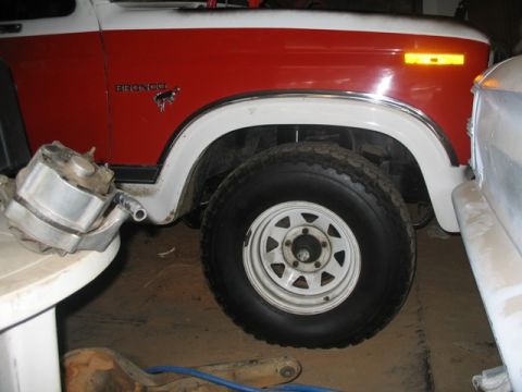 1981 Ford Bronco - The side emblem clearly reads 'Bronco' on this 1981 model, confirming its identity.