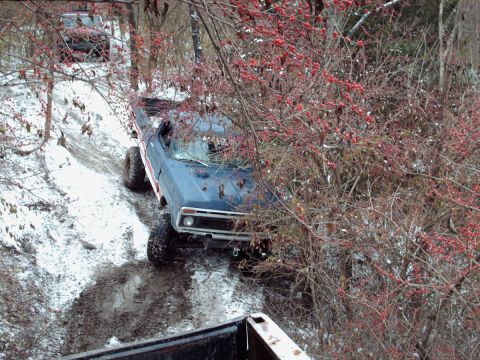 1977 Ford F-150 - A blue 1977 Ford F-150 navigates a muddy and snowy trail, partially obscured by berry bushes.