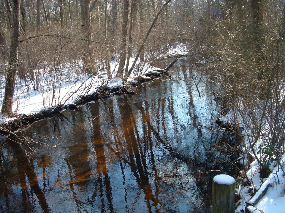 Crossed a small rickety bridge
