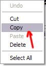 1996 Ford Probe - A computer menu displays options like Undo, Cut, Copy, Paste, Delete, and Select All.
