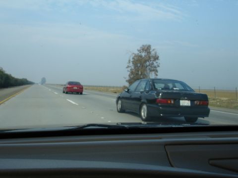 1995 Ford Taurus - A black 1995 Ford Taurus sedan is seen from behind on a highway, with another car in the distance.