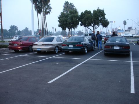 1995 Ford Taurus - A 1995 Ford Taurus sedan is seen from the rear, parked in a lot alongside other vehicles.