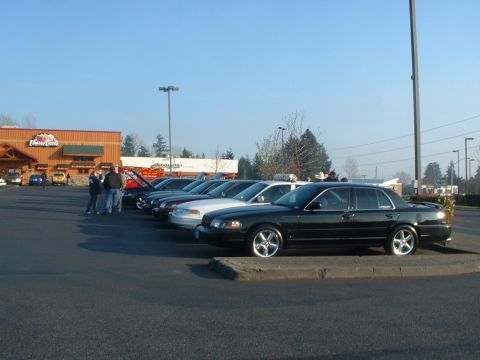 1999 Ford Crown Victoria - A group of Ford Crown Victoria police interceptors are lined up in a parking lot.