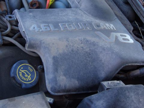 1983 Ford Bronco - Electric fan was removed from a 1996 Lincoln Mark VIII 4.6L engine at one of the local friendly auto recyclers. Cost $15.00