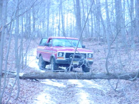 1979 Ford Bronco - Where's the chainsaw??