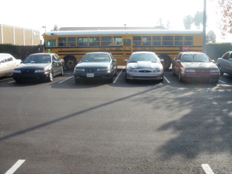 1991 Ford Taurus - Lined up