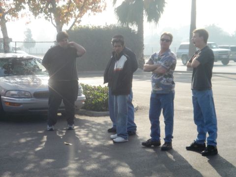 1991 Ford Taurus - Hangin Out.