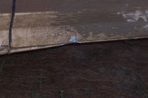 1987 Ford Bronco - The side panel of a 1987 Ford Bronco shows wear and a small blue sticker.