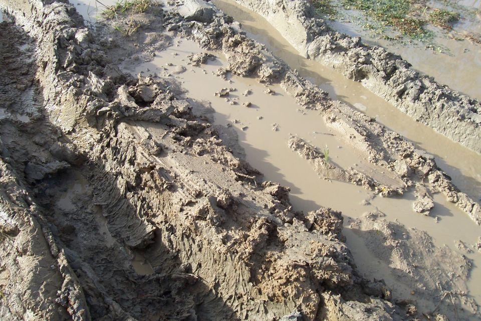Muddy tire tracks and puddles on an off-road path