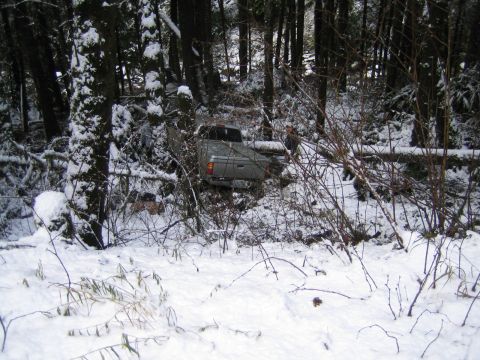 1990 Ford Bronco - Pickup truck off-road in snowy woods, partially obscured by trees and branches.