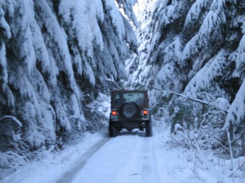 1990 Ford Bronco - A Jeep Wrangler navigates a snowy forest road, its rear visible as it drives away.