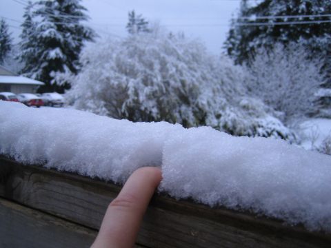1990 Ford Bronco - Snow covers a wooden railing in front of parked cars and snow-covered trees.