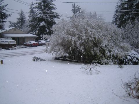 1990 Ford Bronco - A snowy scene shows several vehicles parked in a driveway next to a house.