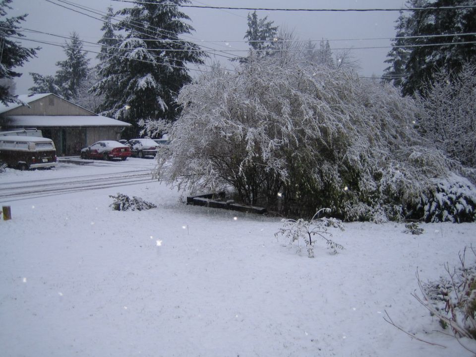 Snow covers a yard with a van, two cars, and a trailer. A house and trees are visible in the background