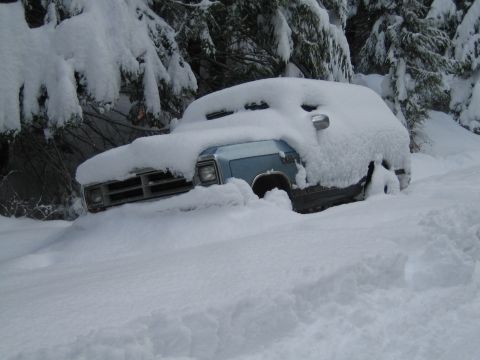 1990 Ford Bronco - Pickup truck stuck in a heavy snowstorm, surrounded by snow-covered trees.