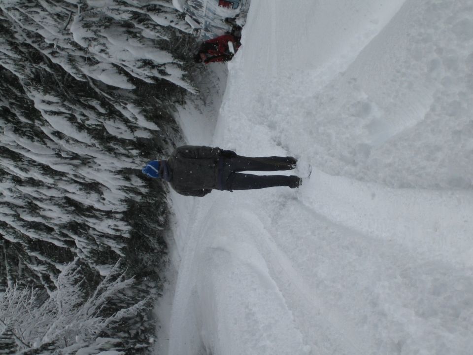 People standing in deep snow near trees