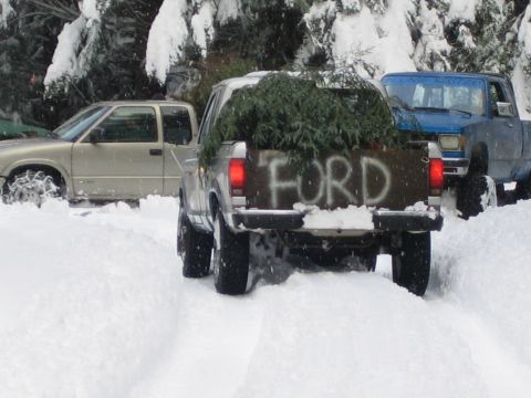1990 Ford Bronco - A Ford pickup truck drives through deep snow, carrying a large Christmas tree in its bed.