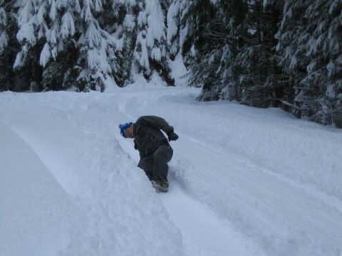 1990 Ford Bronco - A person navigates a snow-covered hill, with trees lining the upper edge of the scene.