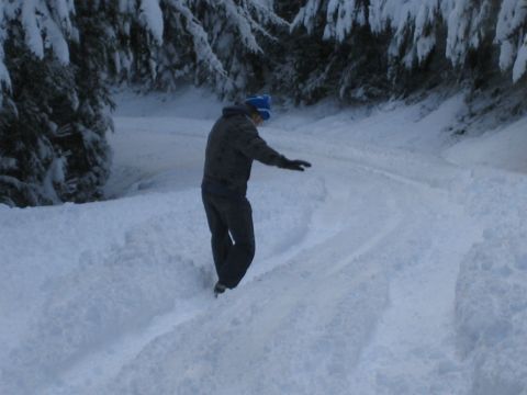 1990 Ford Bronco - A person navigates a snow-covered path through a winter forest.