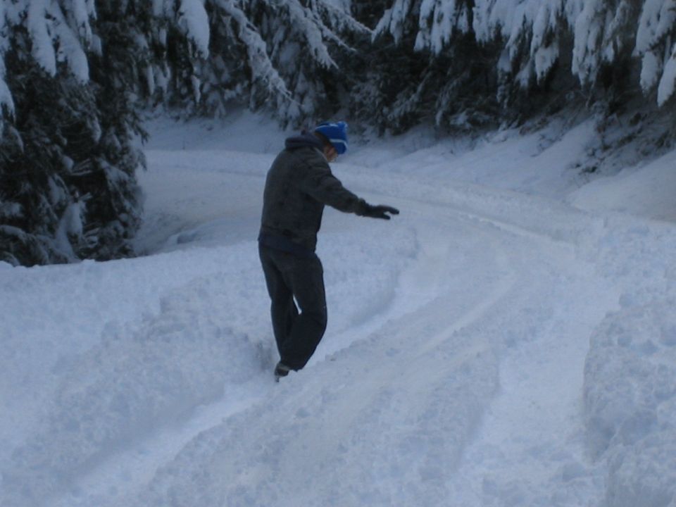 Person walking on snowy path with trees covered in snow